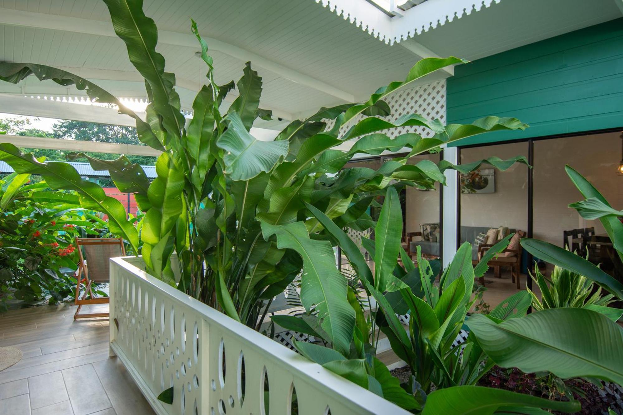 Namaitami Casa Hermosa Con Ac Y Piscina A Solo 650 Metros Del Parque Nacional Cahuita Ngoại thất bức ảnh